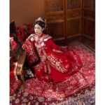 Plus-size Hanfu for women weighing 200 jin (approximately 100 catties), Ming Dynasty style heavy embroidery wedding dress, red stand-up collar shirt, cloud shoulder and horse-face skirt.
